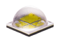 White LEDs