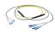 Pasternack PE3FCA243-15M