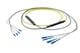 Pasternack PE3FCA243-25M