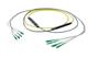 Pasternack PE3FCA244-30M