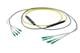 Pasternack PE3FCA246-5M