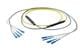 Pasternack PE3FCA249-10M