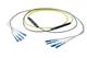 Pasternack PE3FCA249-30M