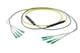 Pasternack PE3FCA250-10M