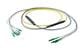 Pasternack PE3FCA310-15M