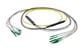 Pasternack PE3FCA382-10M