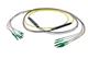 Pasternack PE3FCA384-25M