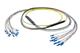 Pasternack PE3FCA451-5M