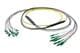 Pasternack PE3FCA456-10M
