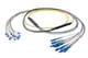 Pasternack PE3FCA461-25M