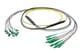 Pasternack PE3FCA462-5M