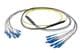 Pasternack PE3FCA463-10M