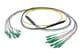 Pasternack PE3FCA464-15M