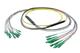 Pasternack PE3FCA468-10M