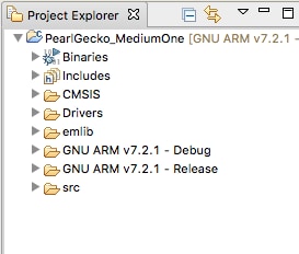 After Importing the Project Source Code Files Into Simplicity Studio