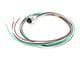 Molex 1300660286