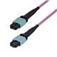 StarTech OS2MTP12AOFNP5M